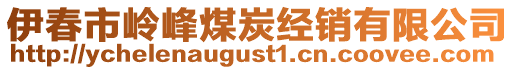 伊春市嶺峰煤炭經(jīng)銷有限公司