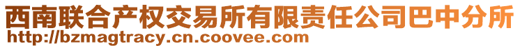 西南联合产权交易所有限责任公司巴中分所