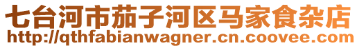 七臺河市茄子河區(qū)馬家食雜店