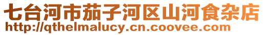 七臺河市茄子河區山河食雜店