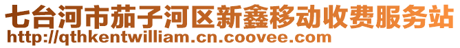七臺河市茄子河區新鑫移動收費服務站