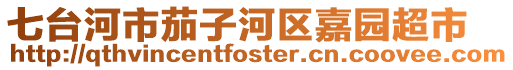 七臺河市茄子河區嘉園超市