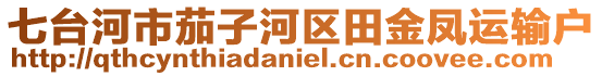 七台河市茄子河区田金凤运输户