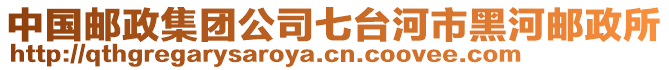 中國郵政集團(tuán)公司七臺(tái)河市黑河郵政所