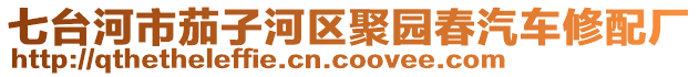 七臺河市茄子河區(qū)聚園春汽車修配廠