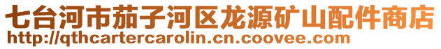 七臺河市茄子河區(qū)龍源礦山配件商店