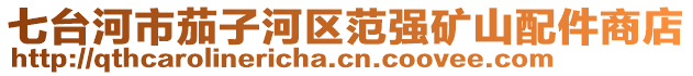 七臺河市茄子河區(qū)范強(qiáng)礦山配件商店