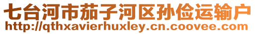 七臺(tái)河市茄子河區(qū)孫儉運(yùn)輸戶(hù)