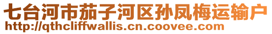 七臺河市茄子河區(qū)孫鳳梅運(yùn)輸戶