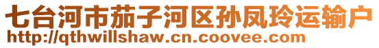 七臺(tái)河市茄子河區(qū)孫鳳玲運(yùn)輸戶