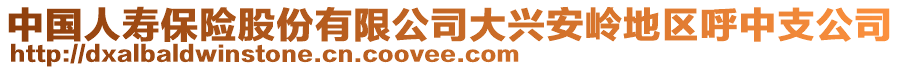 中国人寿保险股份有限公司大兴安岭地区呼中支公司