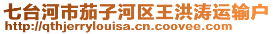 七臺(tái)河市茄子河區(qū)王洪濤運(yùn)輸戶