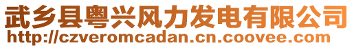 武鄉(xiāng)縣粵興風(fēng)力發(fā)電有限公司