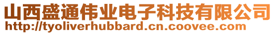 山西盛通偉業(yè)電子科技有限公司