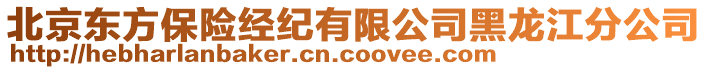 北京東方保險經(jīng)紀有限公司黑龍江分公司