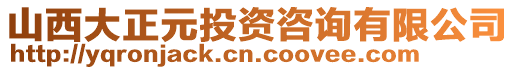 山西大正元投資咨詢有限公司