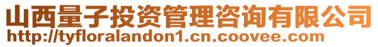 山西量子投資管理咨詢有限公司