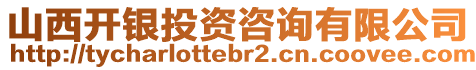 山西開銀投資咨詢有限公司