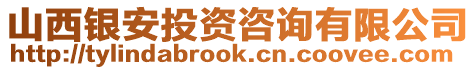 山西銀安投資咨詢有限公司