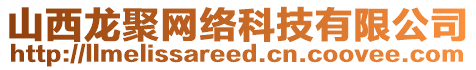 山西龍聚網(wǎng)絡(luò)科技有限公司