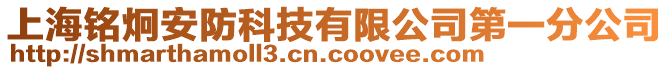 上海銘炯安防科技有限公司第一分公司