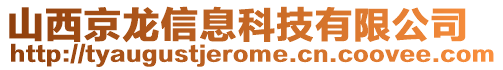 山西京龍信息科技有限公司