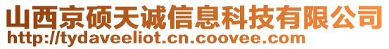 山西京碩天誠信息科技有限公司