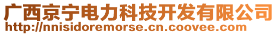 广西京宁电力科技开发有限公司