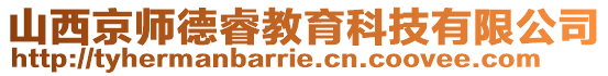 山西京師德睿教育科技有限公司