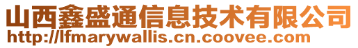 山西鑫盛通信息技術有限公司