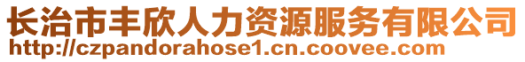 長治市豐欣人力資源服務有限公司