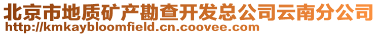 北京市地質(zhì)礦產(chǎn)勘查開發(fā)總公司云南分公司