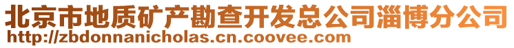 北京市地質(zhì)礦產(chǎn)勘查開發(fā)總公司淄博分公司