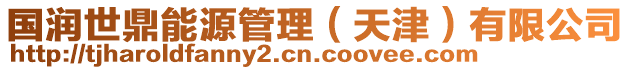 國(guó)潤(rùn)世鼎能源管理（天津）有限公司