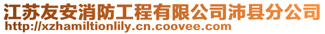 江蘇友安消防工程有限公司沛縣分公司