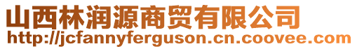 山西林润源商贸有限公司