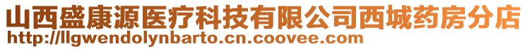 山西盛康源医疗科技有限公司西城药房分店