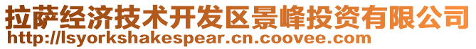 拉薩經(jīng)濟(jì)技術(shù)開發(fā)區(qū)景峰投資有限公司