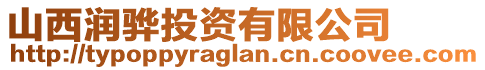 山西潤(rùn)驊投資有限公司