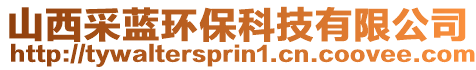山西采藍(lán)環(huán)保科技有限公司