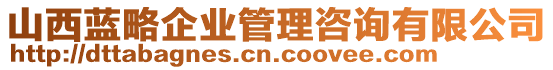 山西藍(lán)略企業(yè)管理咨詢有限公司