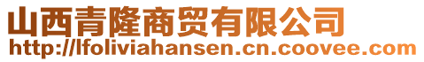 山西青隆商貿(mào)有限公司