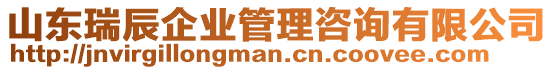 山東瑞辰企業(yè)管理咨詢有限公司