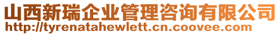 山西新瑞企業(yè)管理咨詢有限公司