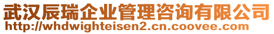 武漢辰瑞企業(yè)管理咨詢有限公司