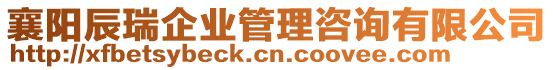 襄陽辰瑞企業(yè)管理咨詢有限公司