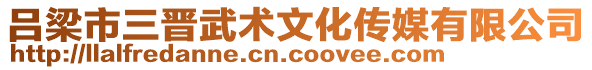 呂梁市三晉武術(shù)文化傳媒有限公司