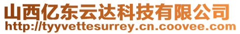 山西億東云達科技有限公司