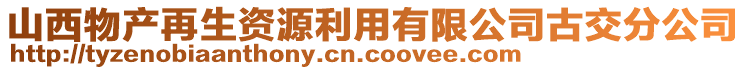 山西物產(chǎn)再生資源利用有限公司古交分公司