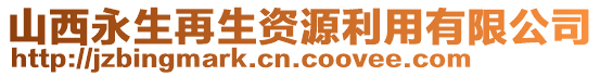 山西永生再生資源利用有限公司